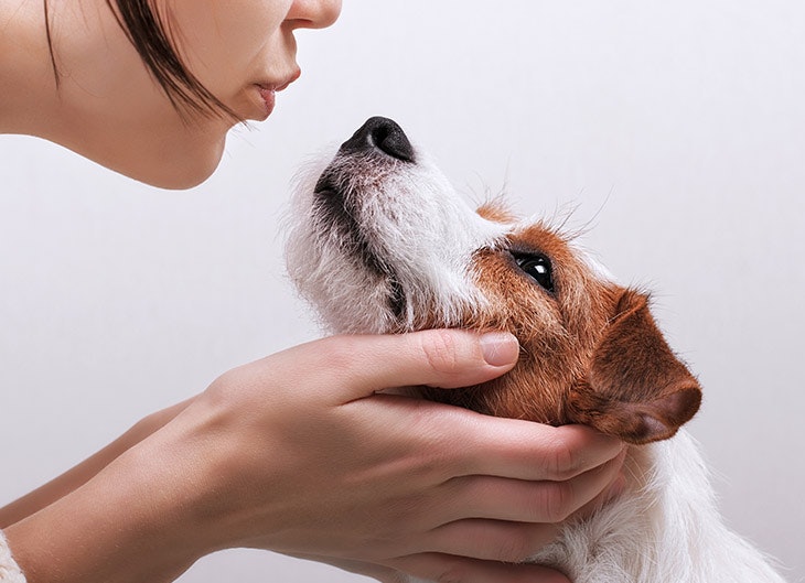 Col cane in ufficio, col cane in vacanza